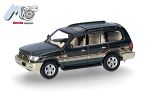 Toyota Landcruiser LC 100 grn