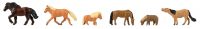 Pferde und Ponys