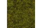 Wildgras Wiese 100 g