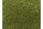 Wildgras 50g