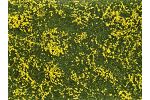 Bodend.-Foliage Wiese gelb