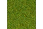 Gras Frhlingswiese 2,5mm (120g)