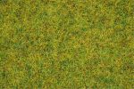 Gras Sommerweise 2,5mm (120g)