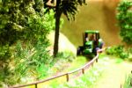 Laser-Cut minis Farn 18 Pflanzen