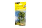 Baum mit Ruhebank