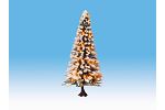 Beleuchteter Weihnachtsbaum m