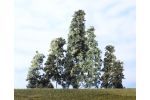 10 Laubbume mit Seeschaum dunkelgrn