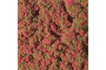 Blumenmatte rot