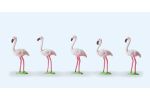 Flamingos