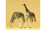 Giraffen