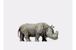 Indisches Panzernashorn