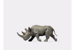 Afrikanisches Nashorn