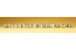 Reisende, Passanten. 60 Figur