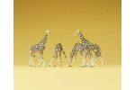 Giraffen
