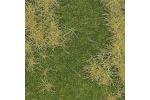 Frhlingsaue, 2-farbig