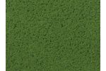 Foliage maigrn