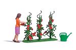 Tomatenernte H0