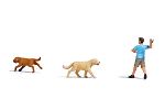 Apportierspiel m.Hunden