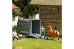 A-Set: Strrisches Pony H0