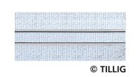 Tramgleis 105,6mm (1-sp) Asphalt