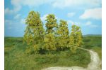 12 Naturbaeume hellgruen