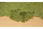 Blaetterflor mittelgrn 28x14cm