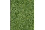 2 Wildgrasm.wiesengr.40x24 cm
