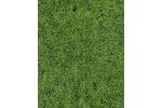 2 Wildgrasm.Waldbo. 40x24 cm