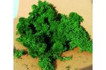 Islandmoos dunkelgruen 30g