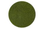 Grasfaser mittelgruen 50g