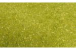 Belaubungsfl. mittelgrn 200ml