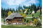 Schwarzwald-Hof