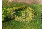 Bltterfoliage, weidegrn