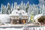 Aktions-Set Weihnachtssingen