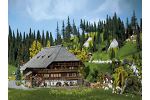 Schwarzwaldhof