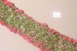 Blumen, margenta, 6x ca.15 cm