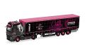 MAN TGX GX GaPl-Sz Scheib Chr