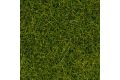 Wildgras dunkelgrn 100 g