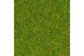 Gras Frhlingswiese 2,5mm (120g)