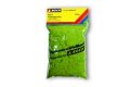 Frhlingswiesen-Gras 100g