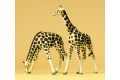 Giraffen