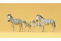 Zebras
