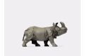 Indisches Panzernashorn