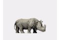 Indisches Panzernashorn