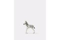 Junges Zebra