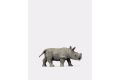 Junges afrikanisches Nashorn