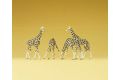 Giraffen
