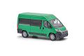 Fiat Ducato Bus, Grn