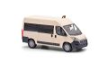 Fiat Ducato Bus, Taxi