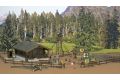 Motiv-Set Wald-Set H0